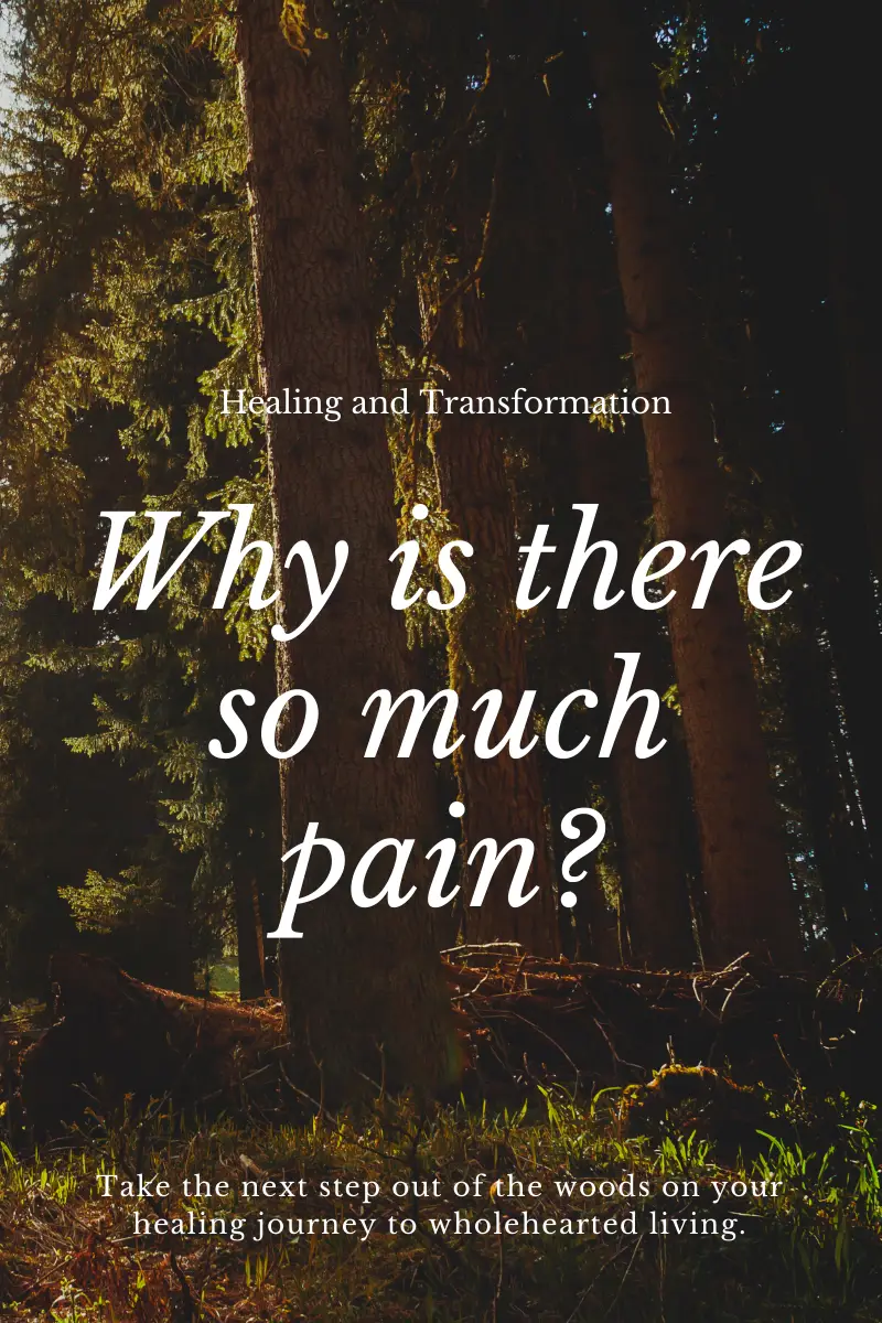 Read more about the article Why is there so much pain?